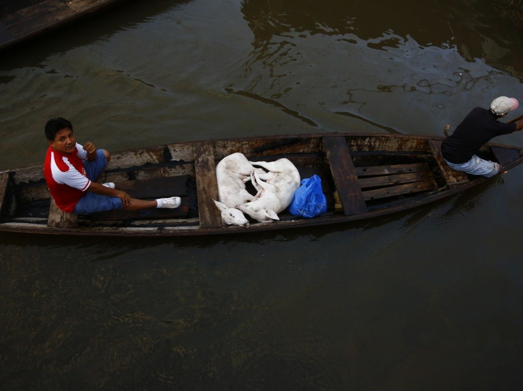 Amazon Reise Eco Lodge主图