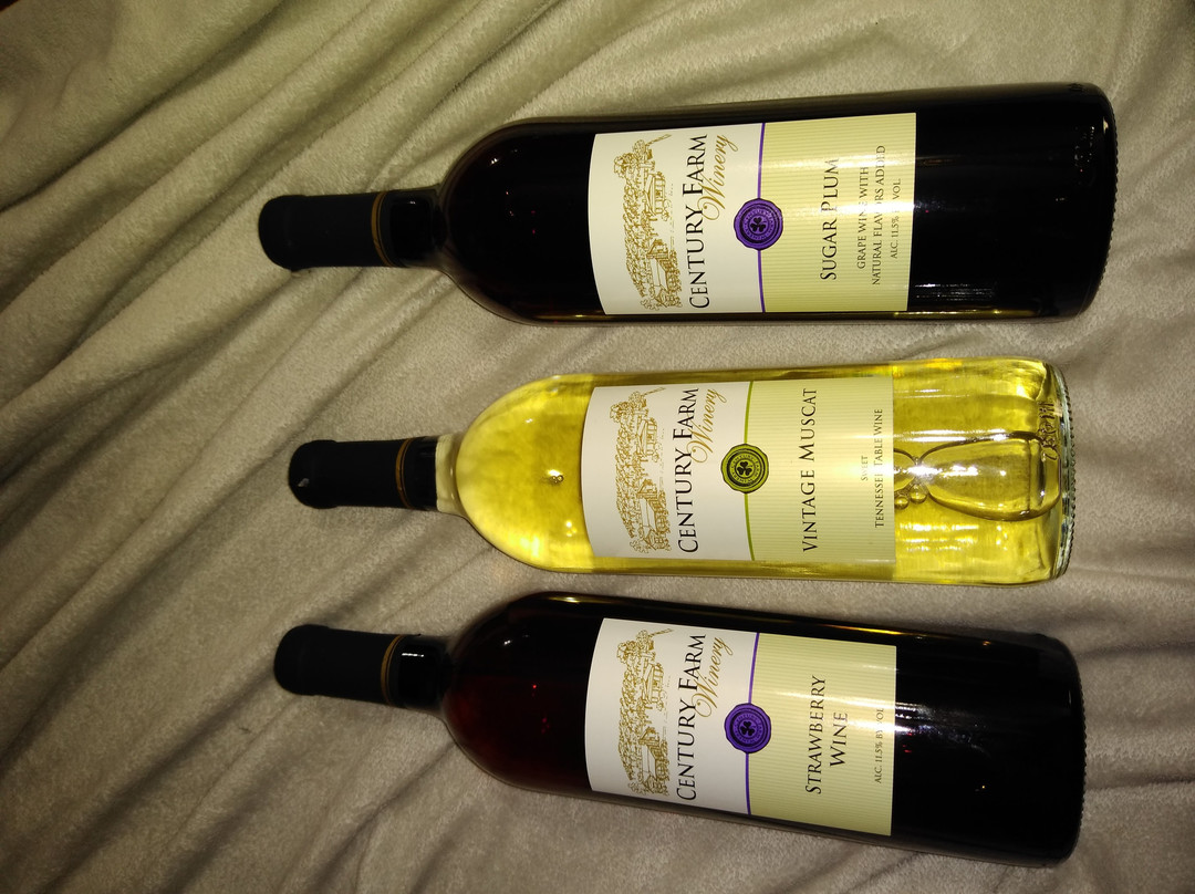 Century Farm Winery-Jackson必去景点