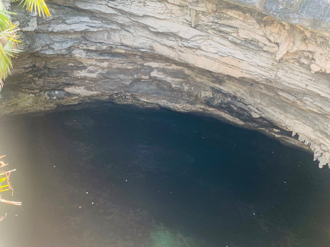 S&D Coach Tours-弗里波特必去景点