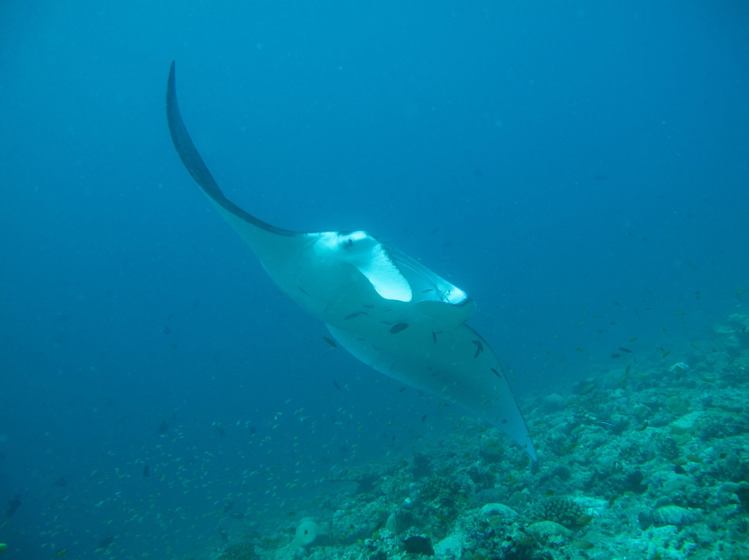 Perfect Voyage-马累必去景点