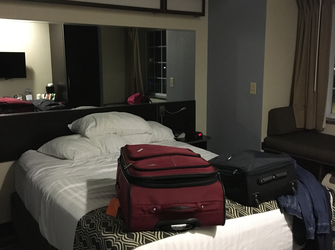 Microtel Inn & Suites by Wyndham Geneva主图