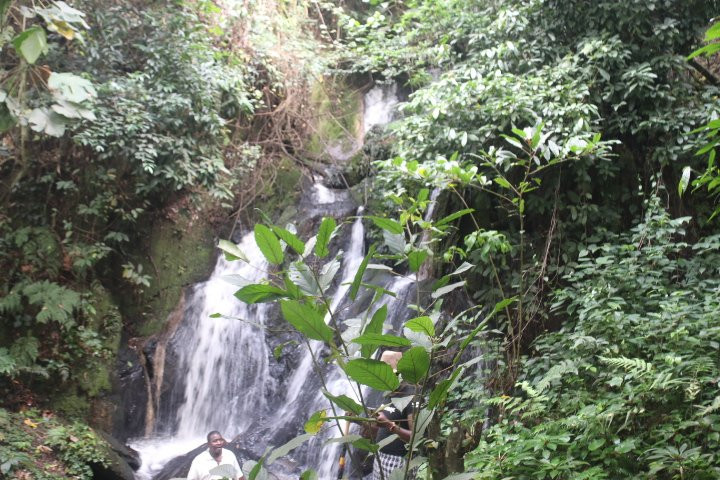 The Crested Crane Bwindi Hotel主图