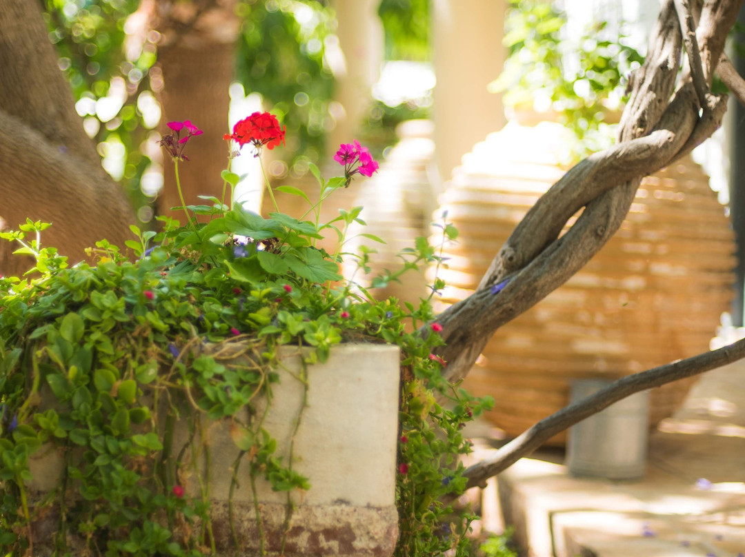 Bratsera Hotel主图