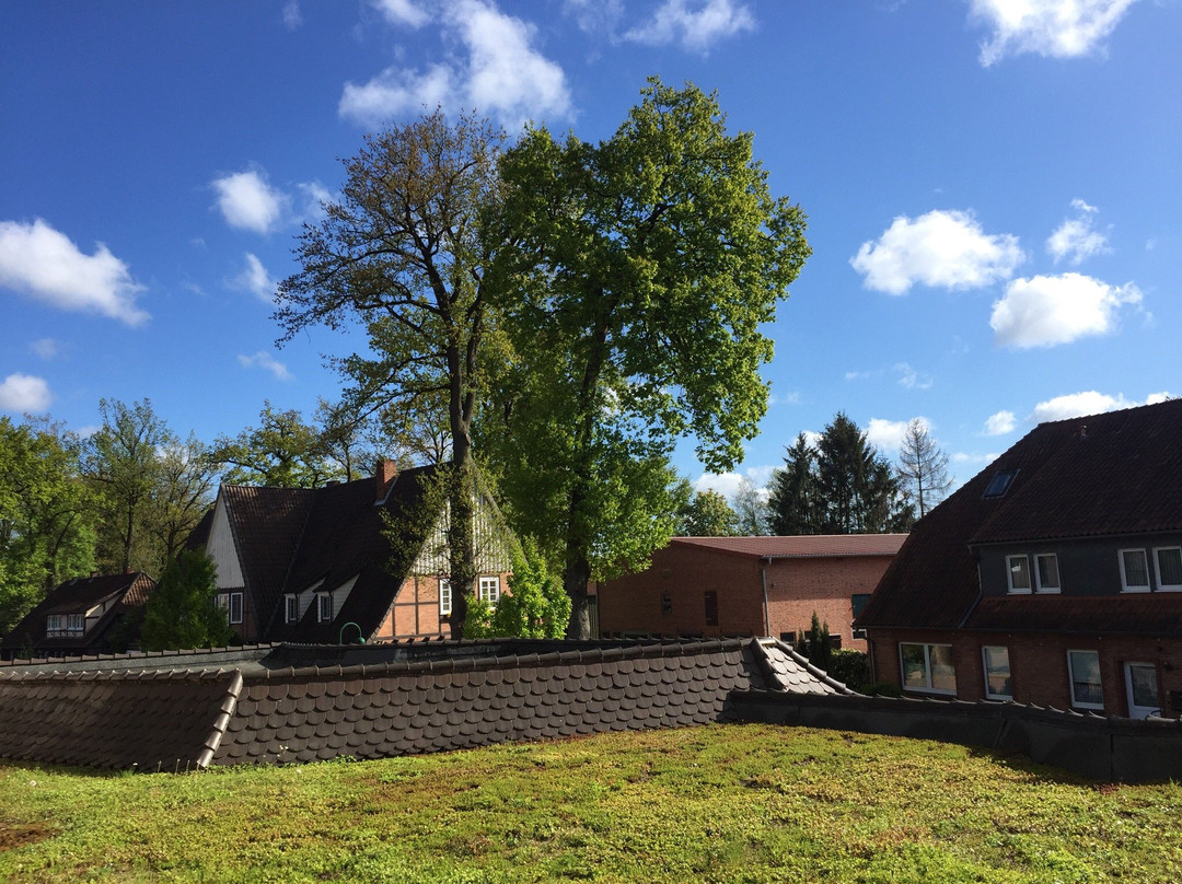 纽莫艾斯罗曼蒂克帕斯特酒店主图