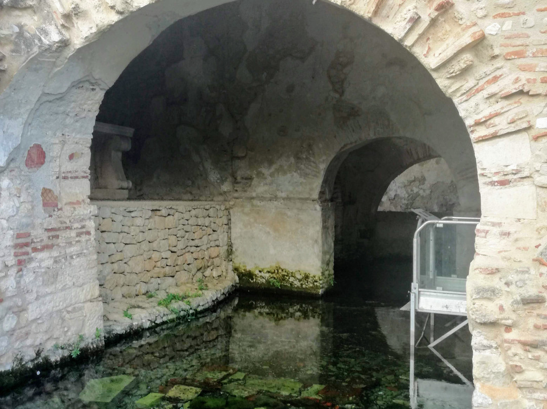 Battistero Paleocristiano San Giovanni in Fonte景点图片