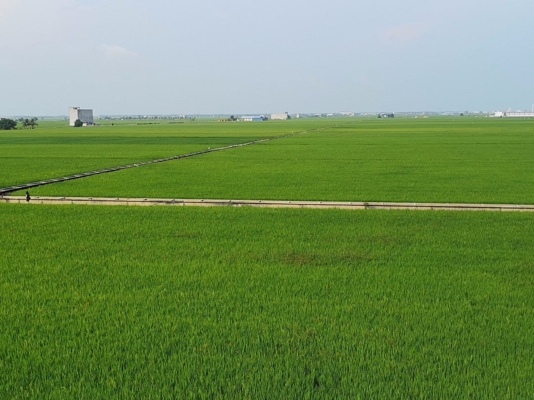 Nan Tian Temple-适耕庄必去景点