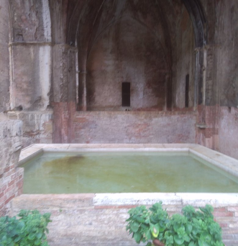 Fonte Nuova-锡耶纳必去景点