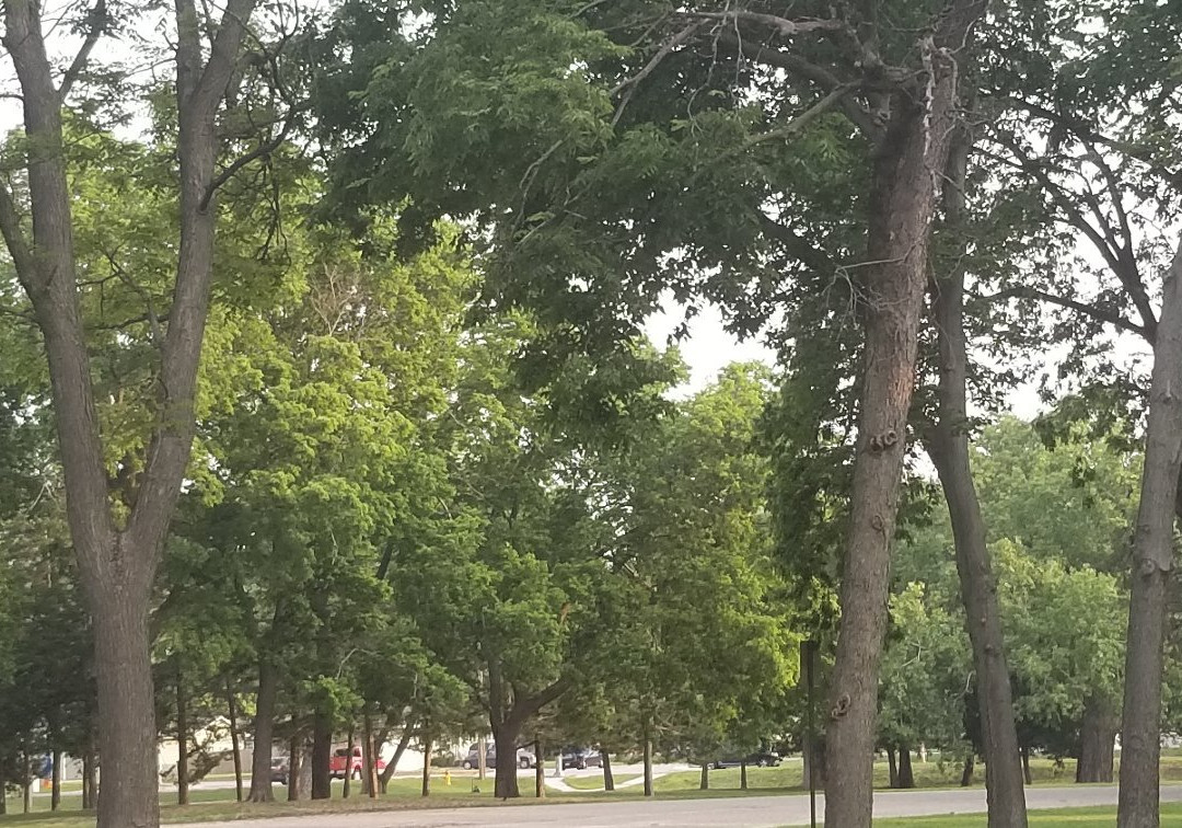 Stolley Park-格兰德岛必去景点