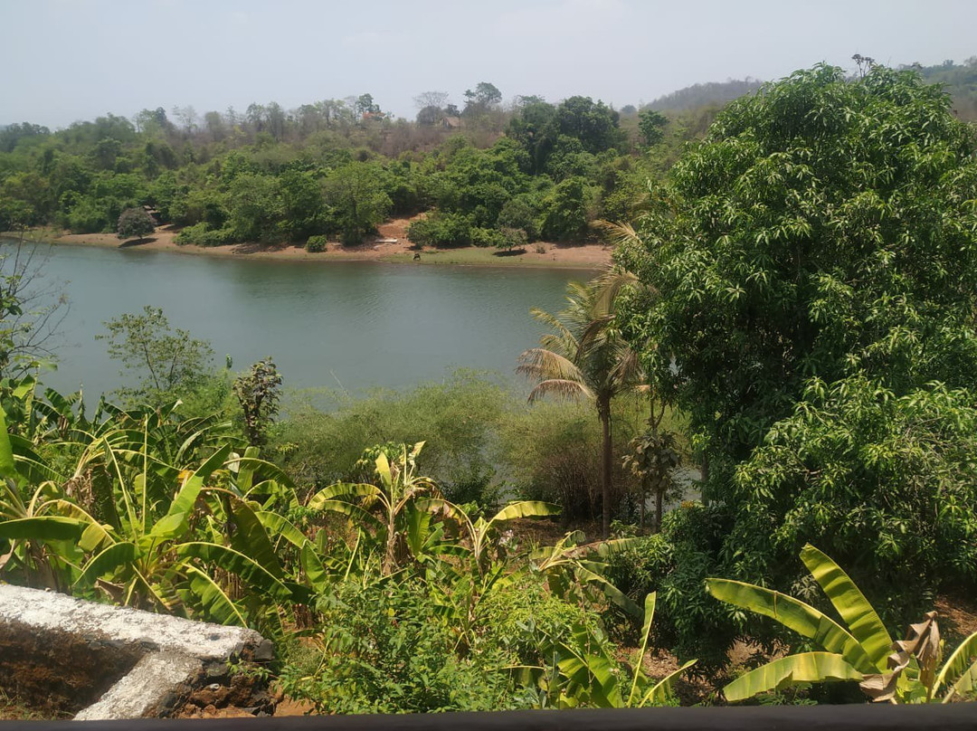 SPOT ON 69008 Doctor's Farm主图