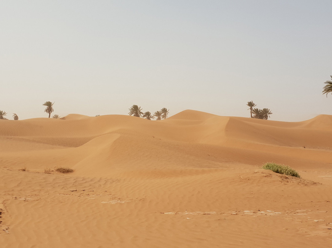 Sahara Trend-迈哈米德必去景点