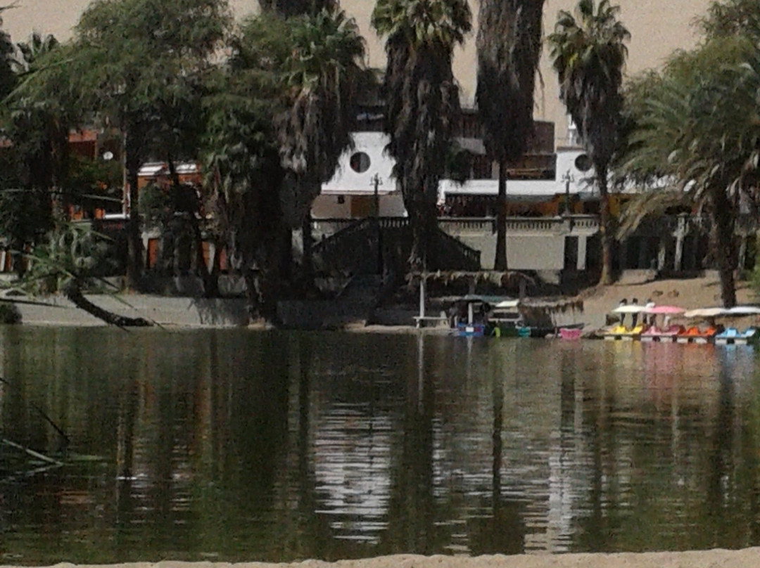 Oasis Huacachina-伊卡必去景点