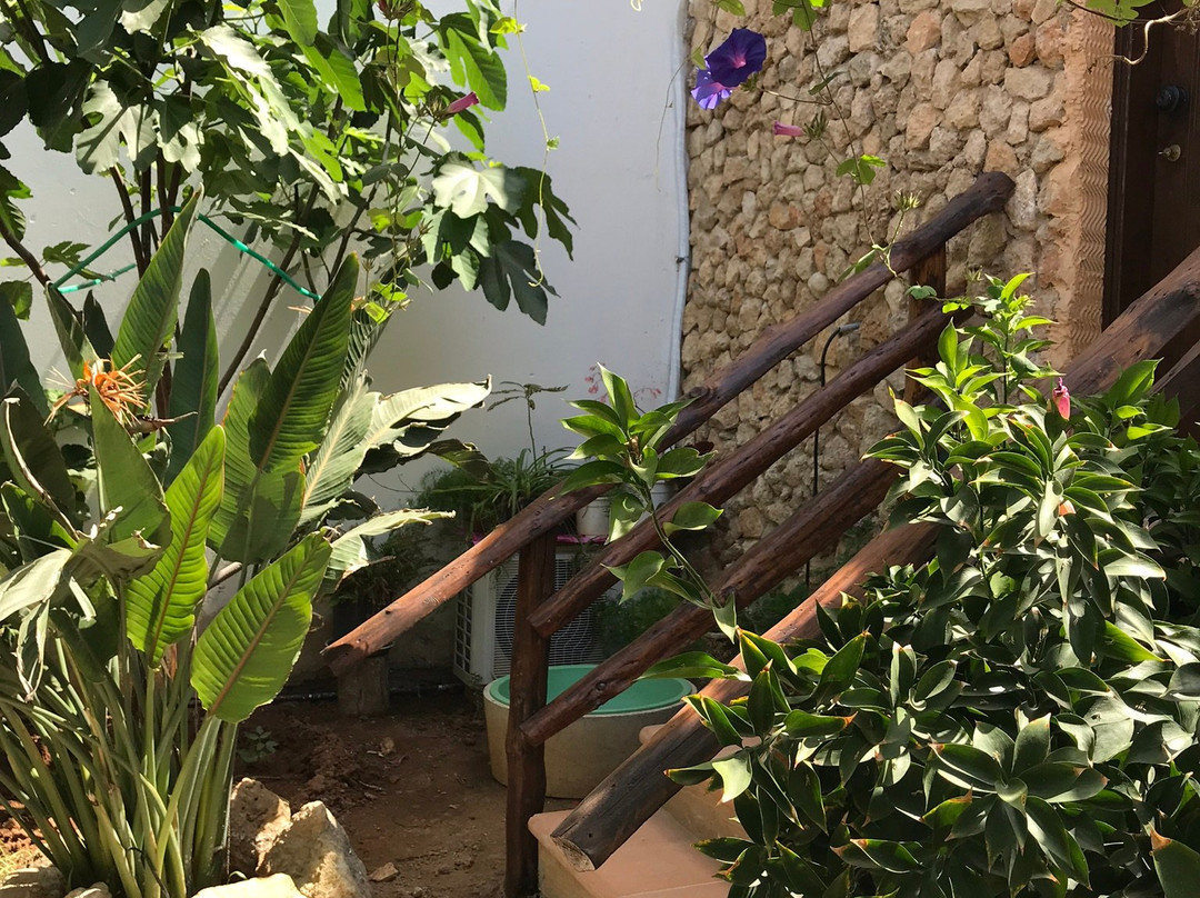 Secret Garden Walled City主图