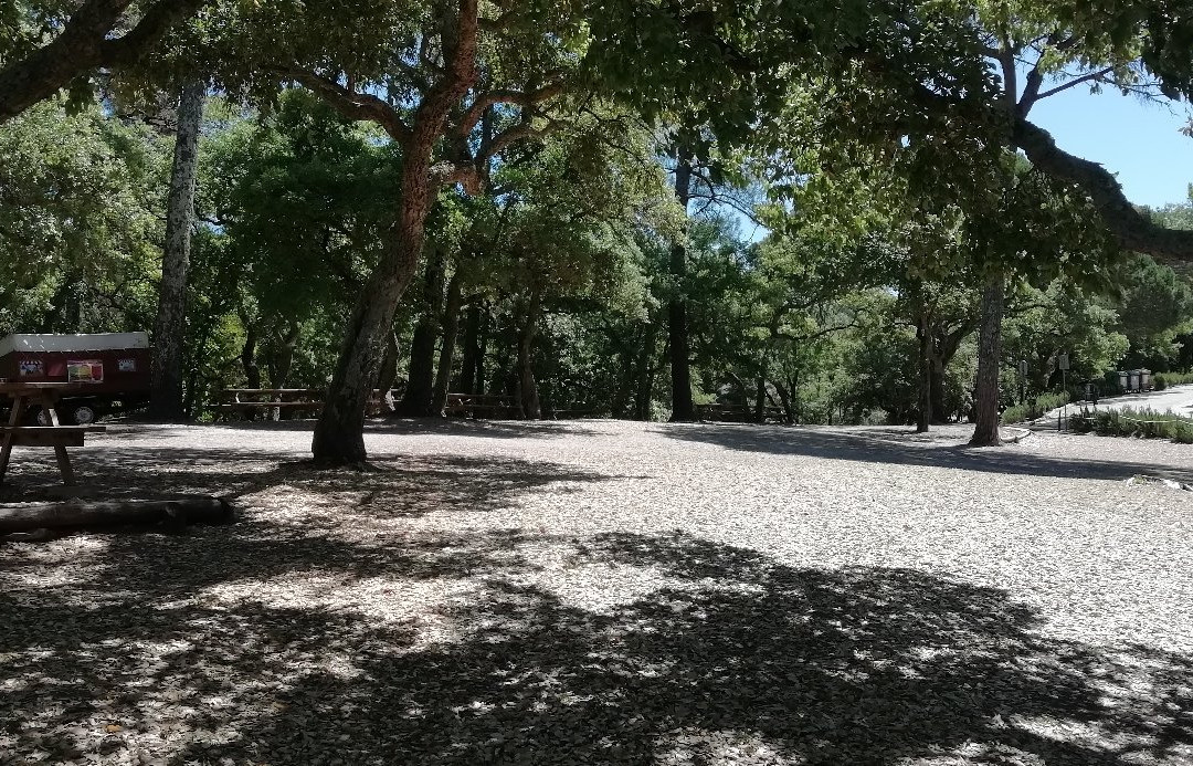 Parque Municipal Cabeço de Montachique景点图片