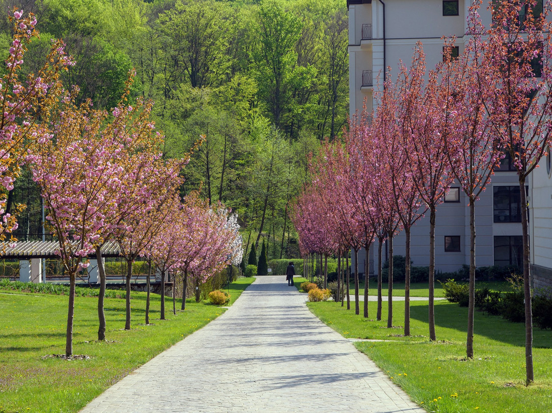 Apartament Hotel by Derenivska Kupil主图