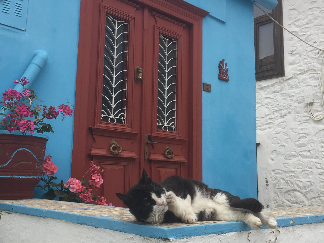 米斯托尔酒店主图