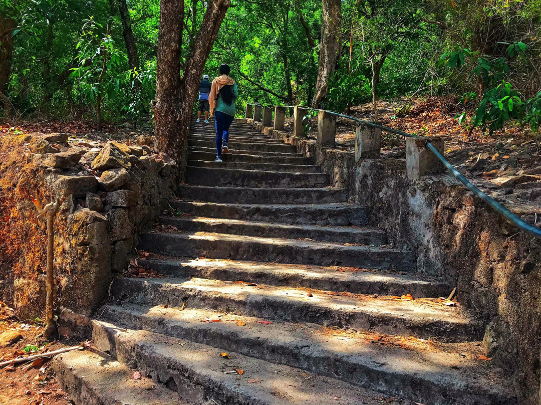 Bandhavgarh Hill景点图片