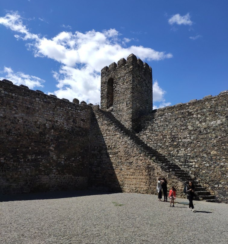 Castelo de Bragança景点图片