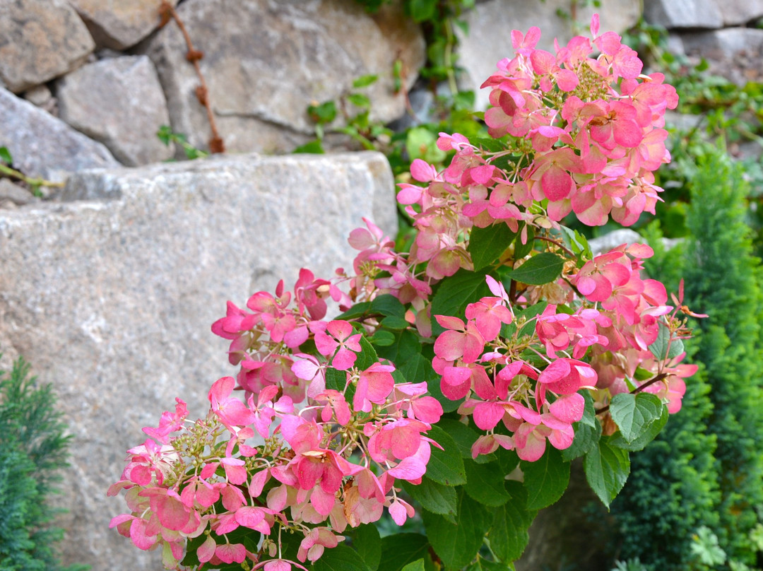 Gasthof Hotel Hirschen主图