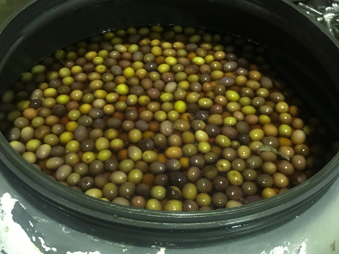 Whispering Brook Cellar Door, Winery, Guesthouse-Broke必去景点