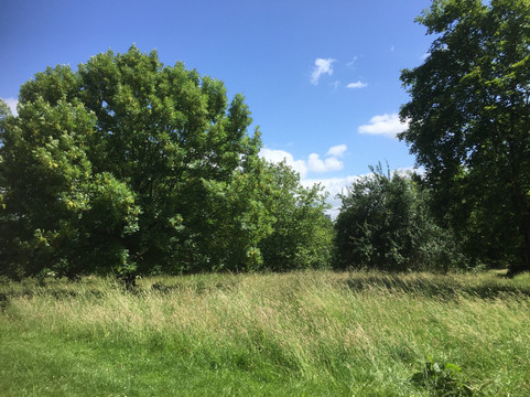 Fishponds Park-瑟比顿必去景点