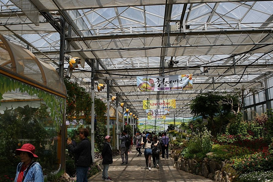 Hampyeong Expo Park - Butterfly Insect Ecosystem-咸平郡必去景点