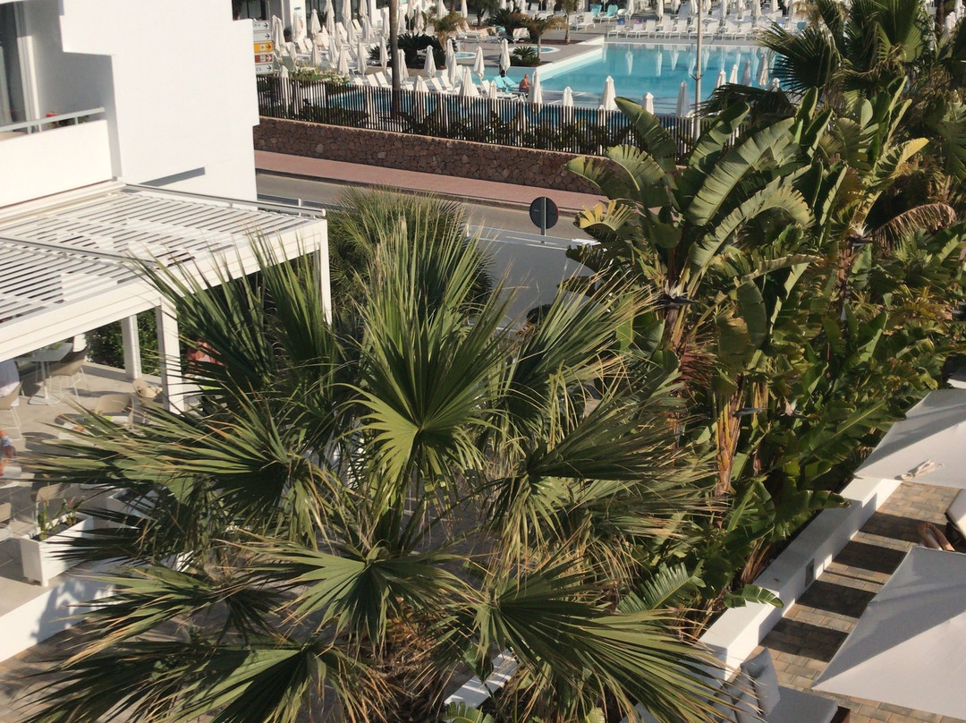 Hotel Anfora Ibiza主图
