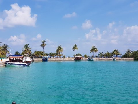 巴阿环礁卡马杜岛霍克斯酒店生物圈-泳池