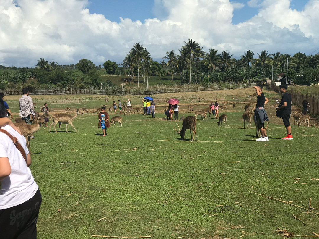 Ocampo Deer Farm-Ocampo必去景点