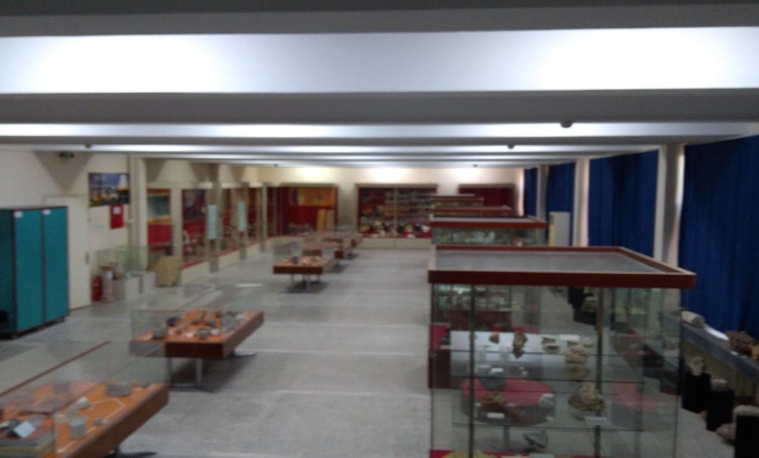 Natural History Museum景点图片