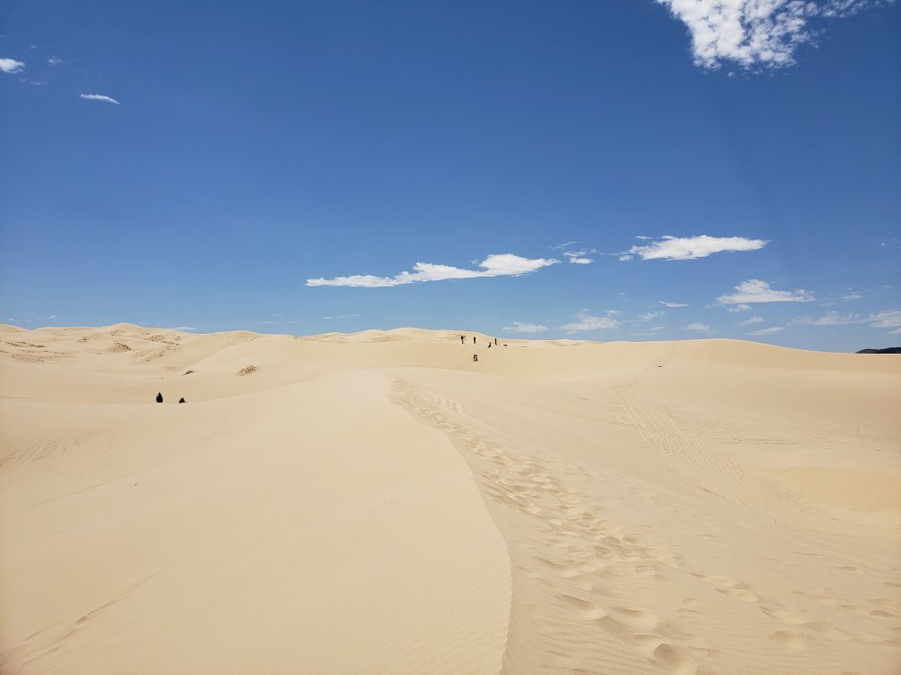 Samalayuca Dune Fields景点图片