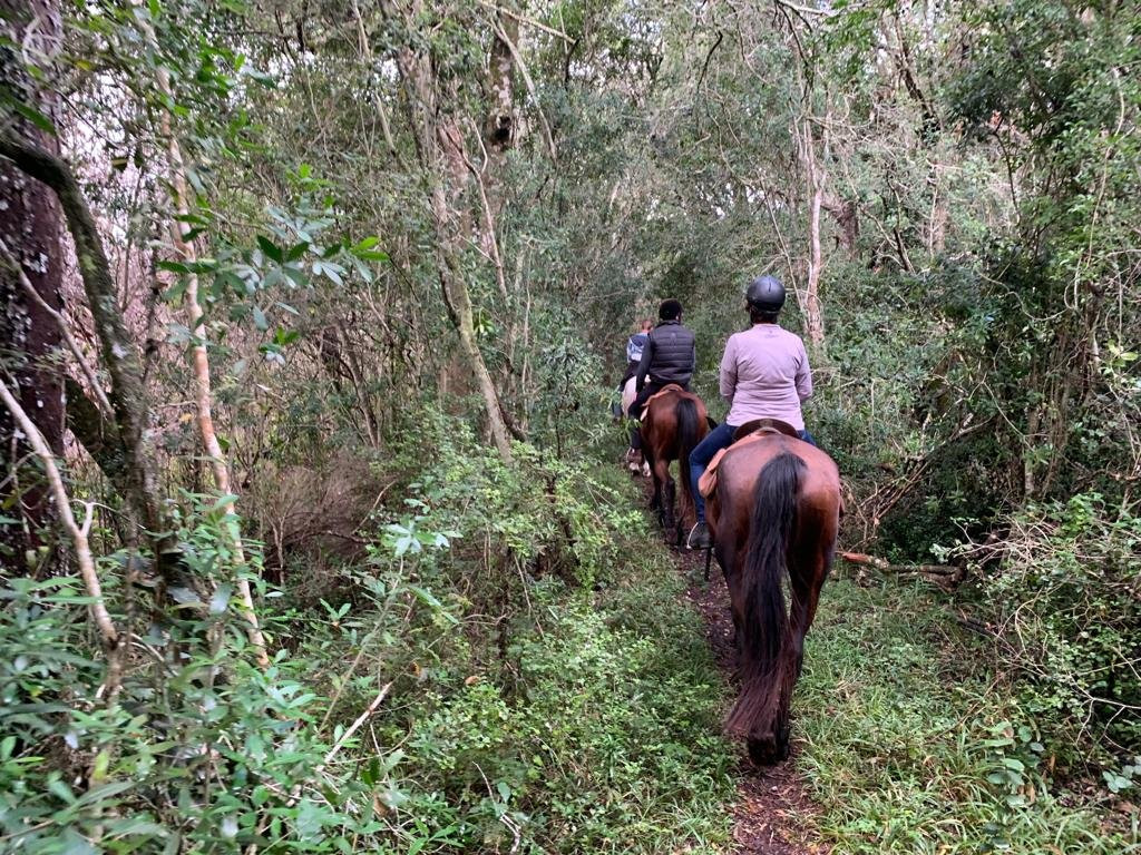 Black Horse Trails景点图片