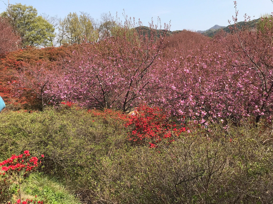 Wansan Park-全州市必去景点