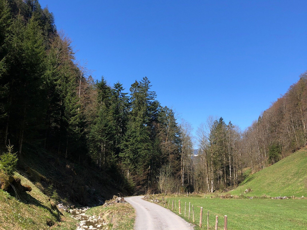 Gasthof Hirschen Bezau主图
