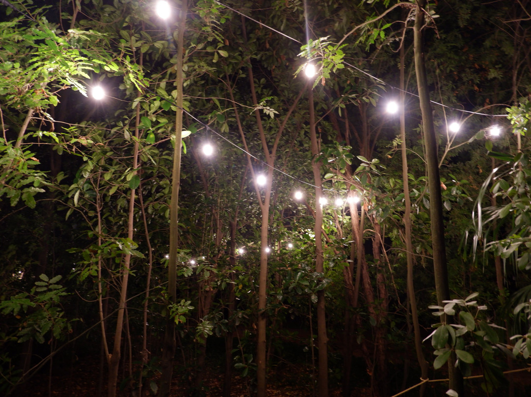 Meadowood Country House主图