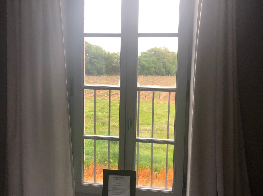 Chartreuse De Mougeres主图