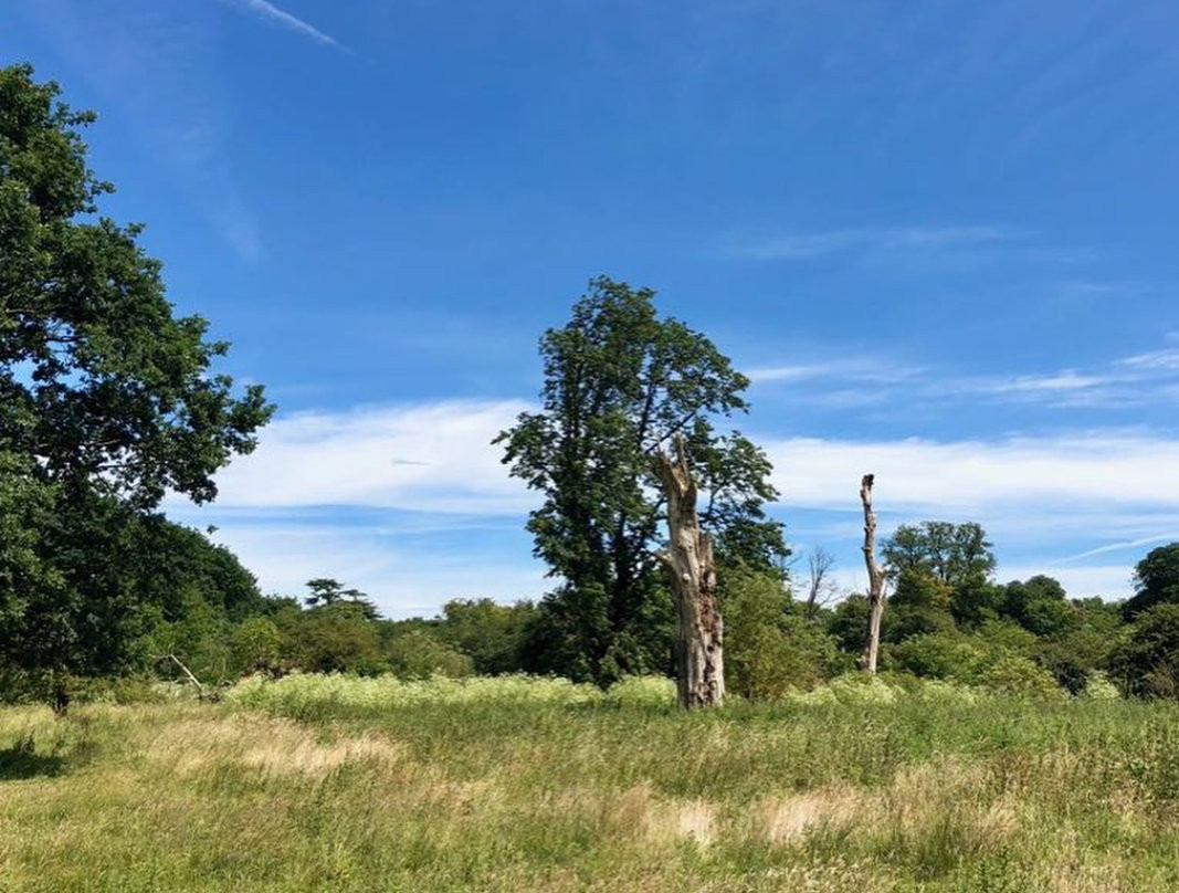 Hatfield Forest Nature Reserve景点图片