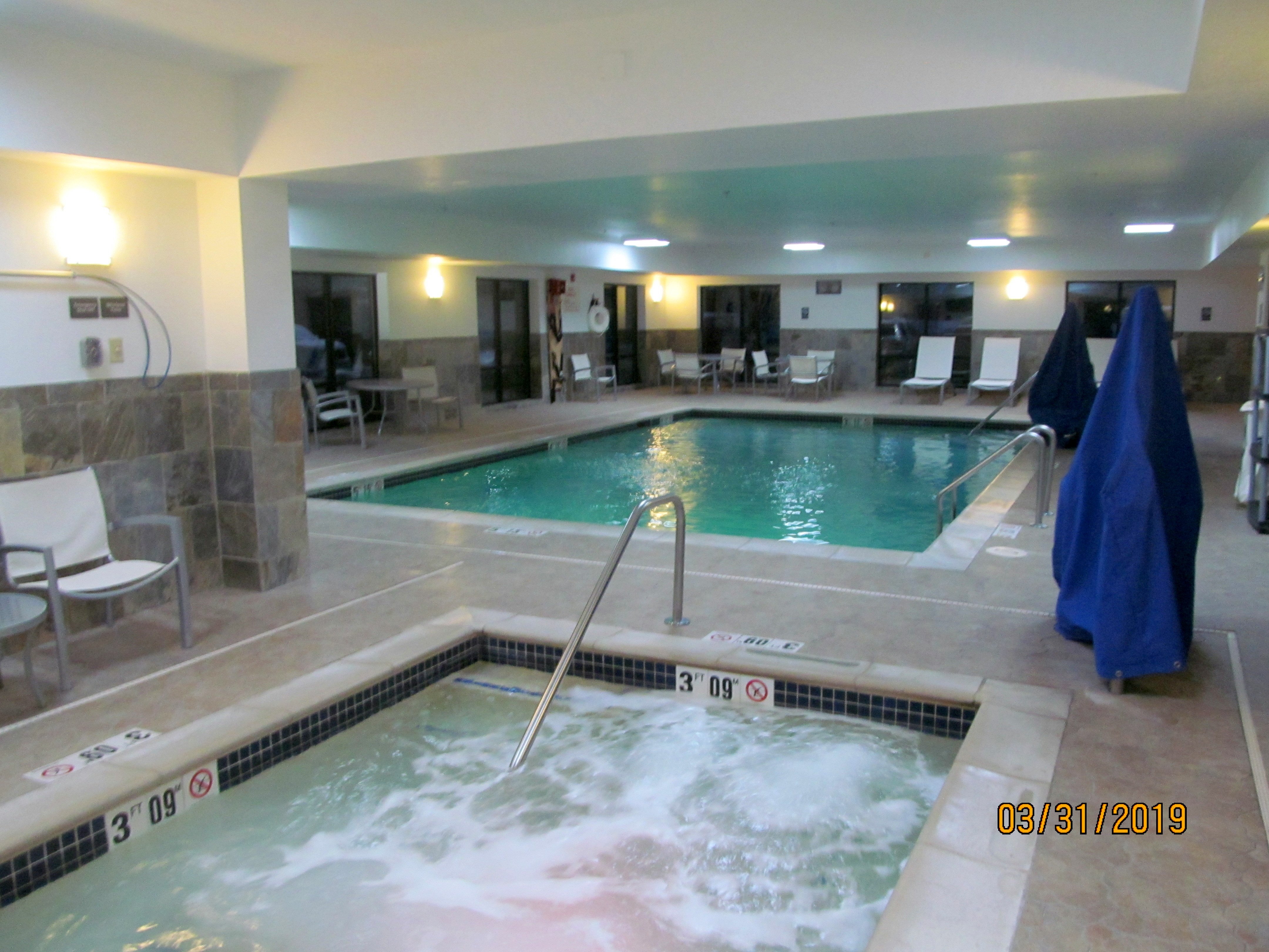 Hampton Inn Detroit/Utica - Shelby Township-泳池