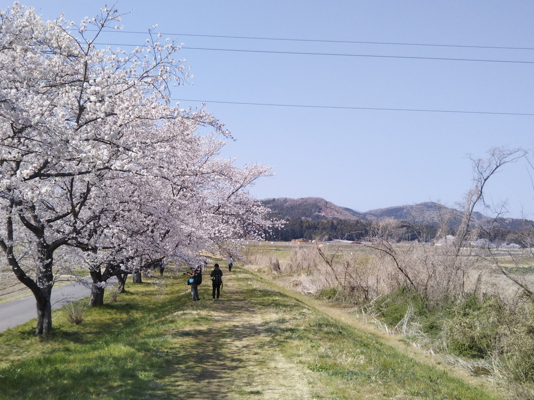 Tokigawa Sakuratsutsumi-岚山町必去景点