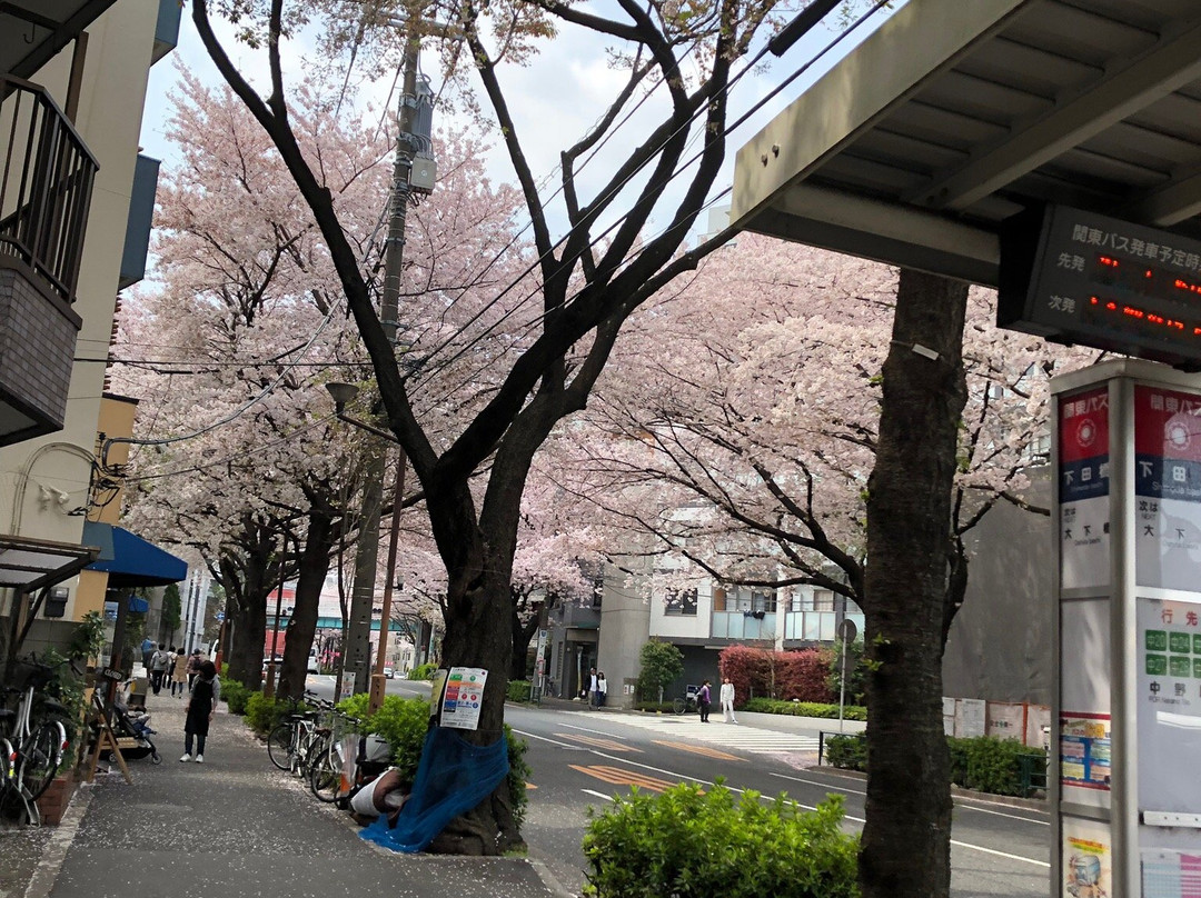 Nakano Street-中野区必去景点