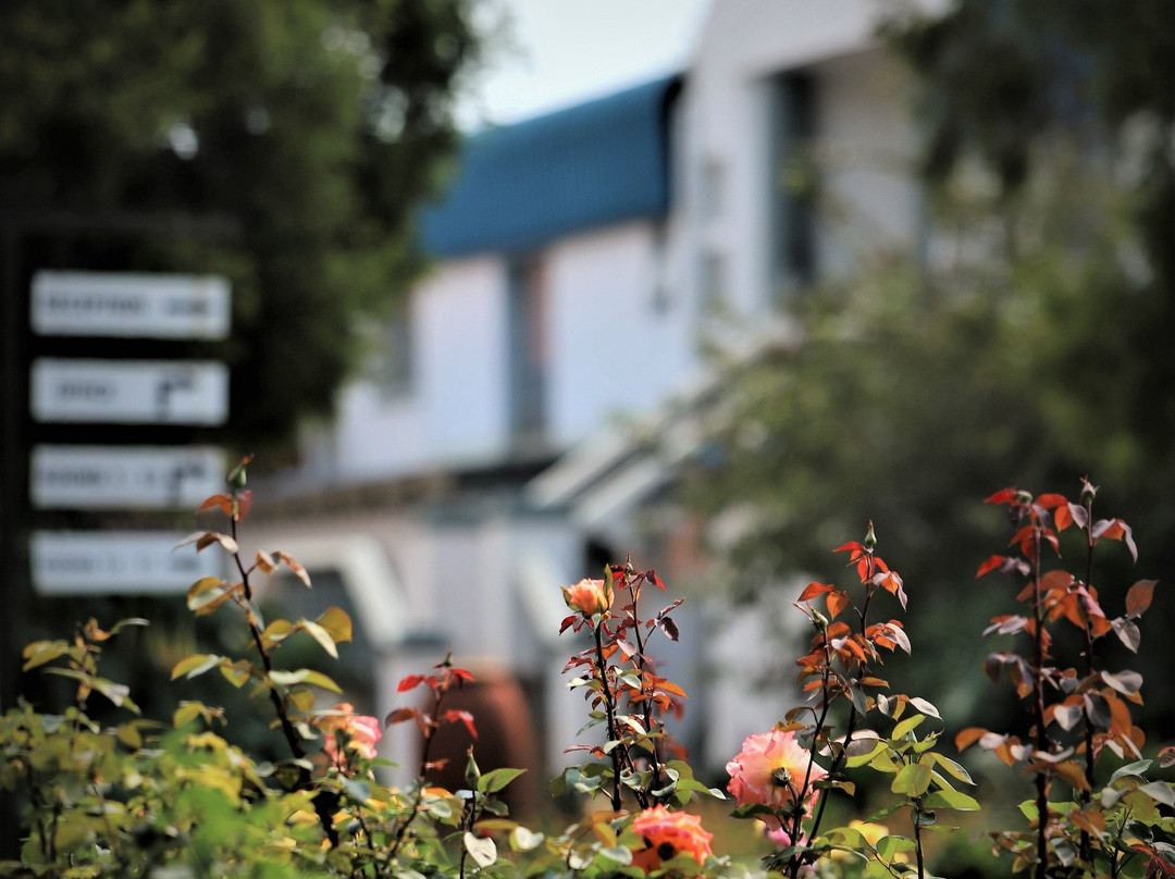 Elsje's Country Inn主图