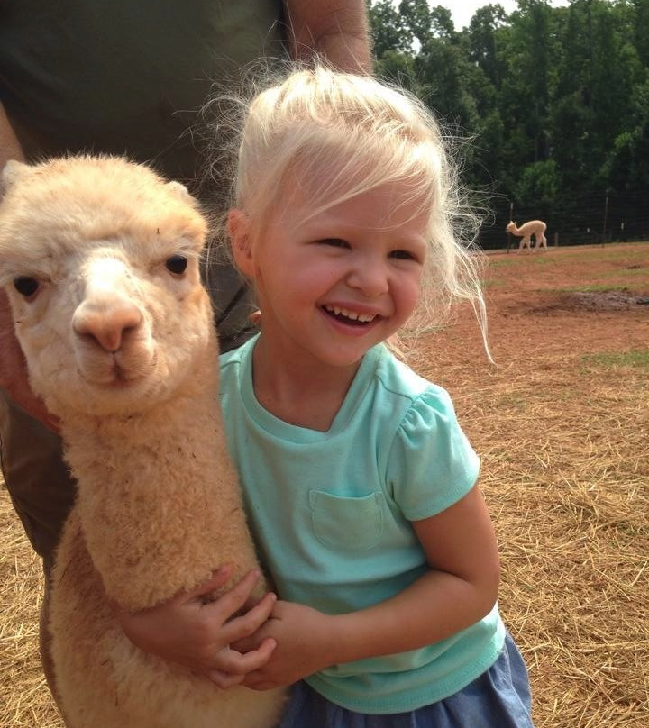 Alpacas of Smith Mountain Lake Farm景点图片