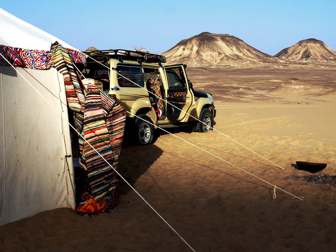 Le Jardin Sous La Lune主图