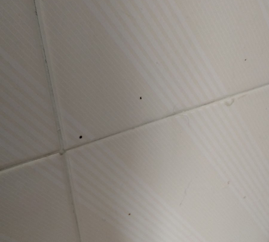 Hotel Consuegra主图