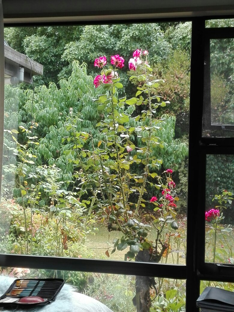 Garden View Bed and Breakfast-官方