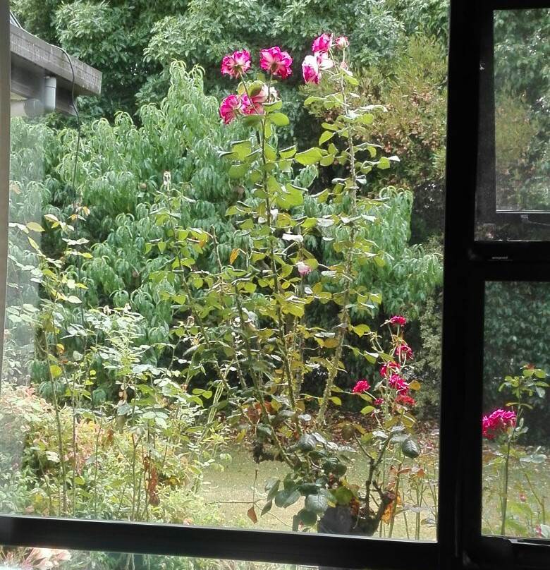Garden View Bed and Breakfast主图