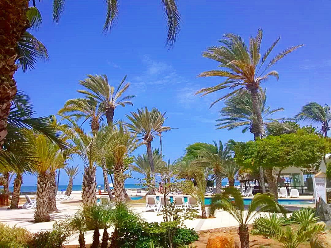 Hotel Paradise Coche主图