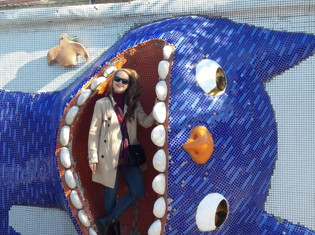 Guided tours in Kiev and Lviv "I Love My City. Kiev"-基辅必去景点