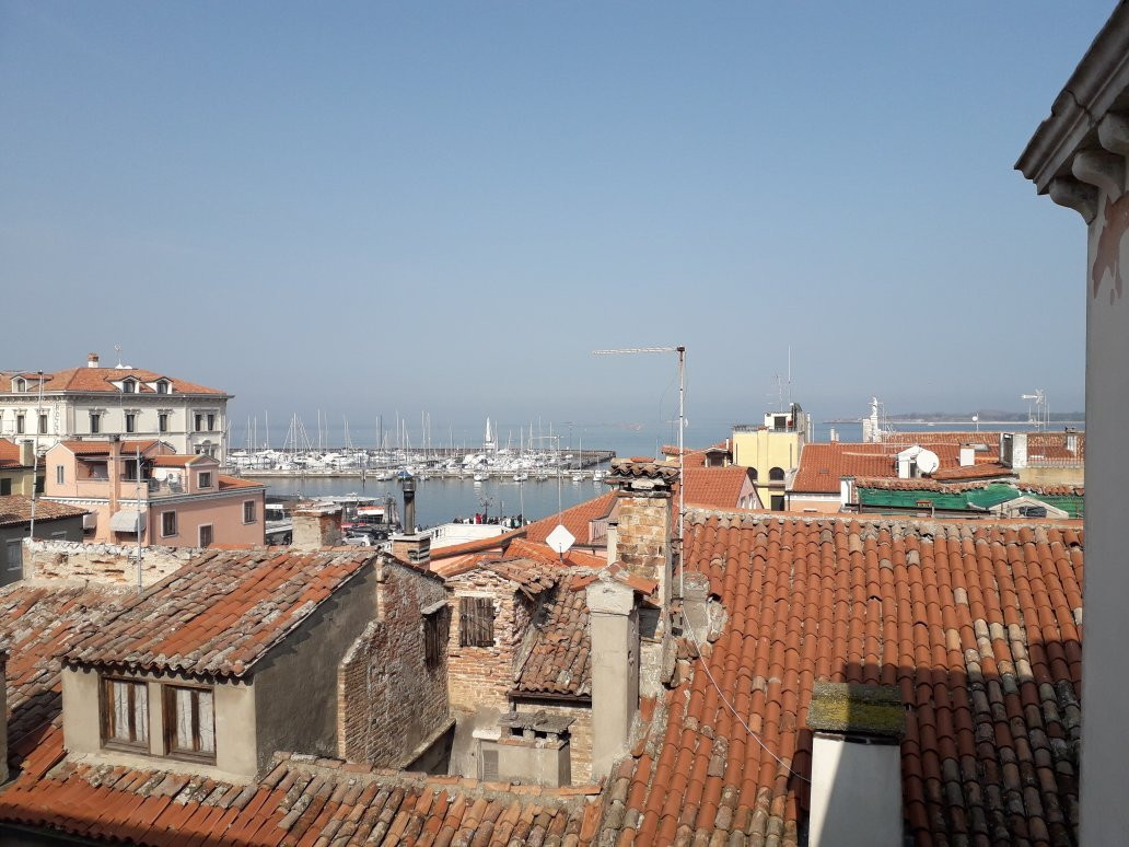 Museo di Zoologia Adriatica Giuseppe Olivi-基奥贾必去景点