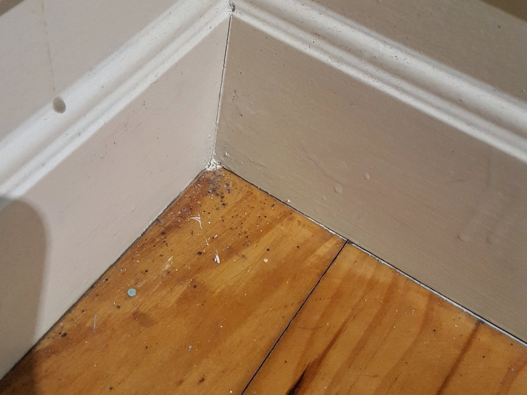 Belgrave Bed & Breakfast主图