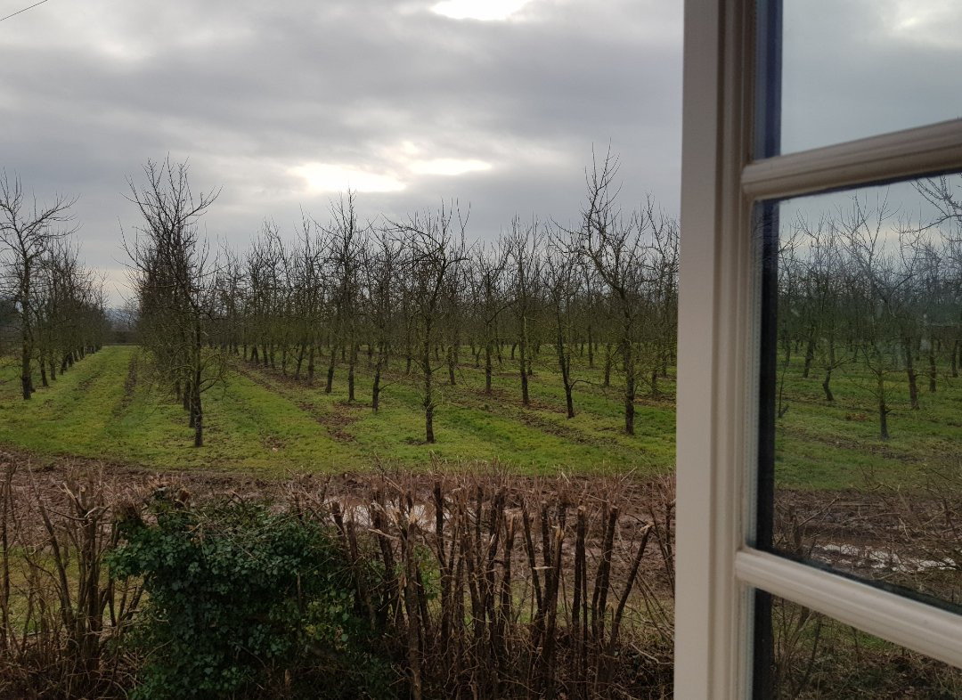 The Oak Inn Staplow主图